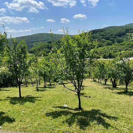 Nova Panorama Vrdnik